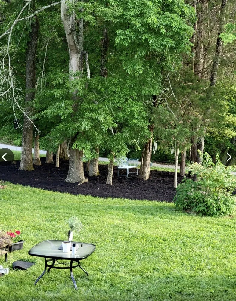 Trusted lawn mowing service experts serving Louisville, KY - waynes custom landscapping