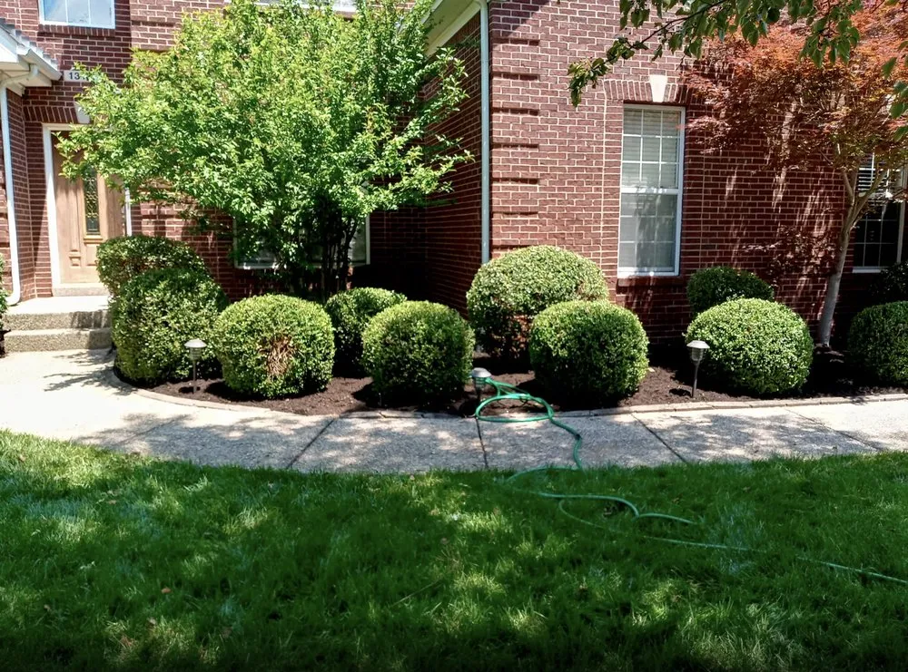 Affordable lawn mowing service with custom design across Louisville, KY - waynes custom landscapping