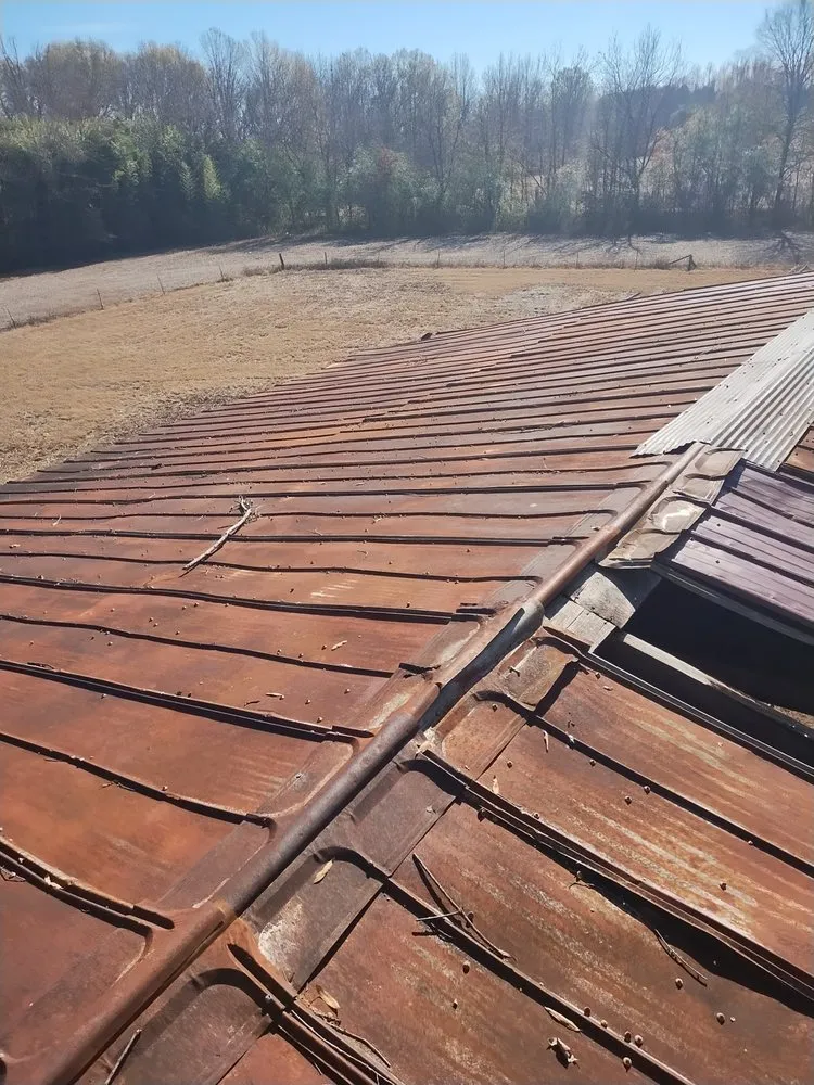 Expert landscaping services in Corinth, MS - Wayne's Handy Man Service and Pressure Washing