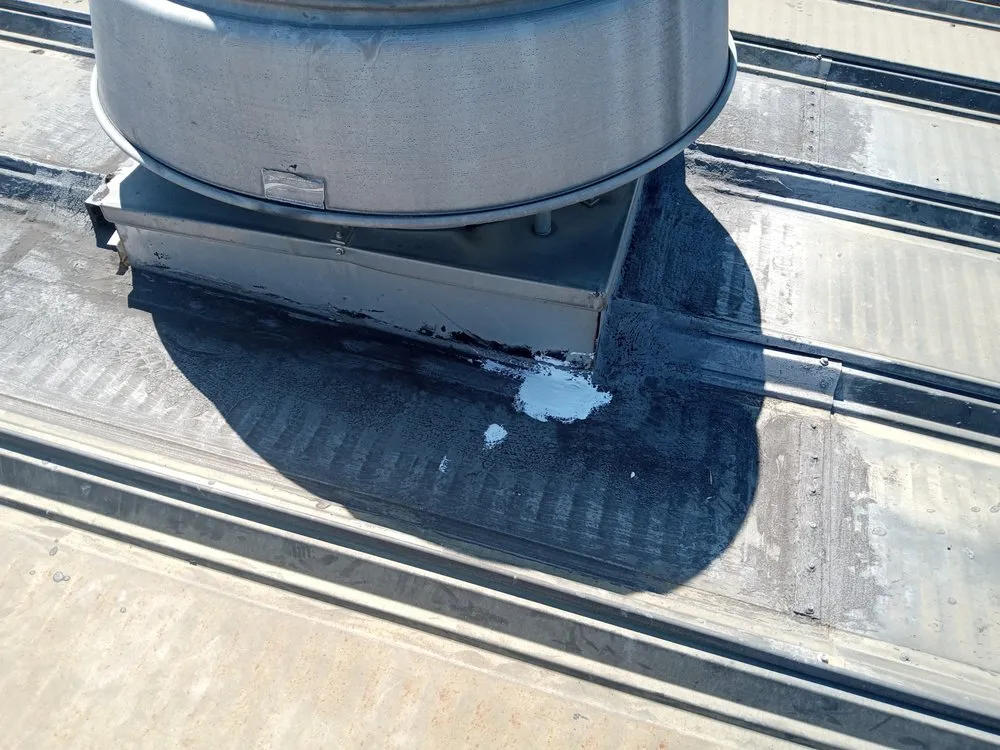 Local landscaping services for year-round maintenance across Corinth, MS - Wayne's Handy Man Service and Pressure Washing