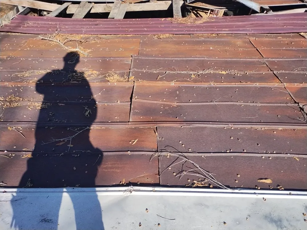 Expert landscape installation with custom design in Corinth, MS by Wayne's Handy Man Service and Pressure Washing