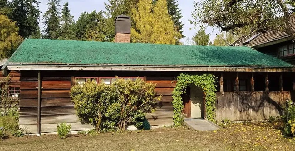 Trusted yard cleanup service in Chimacum, WA - Wayne's Hydroseeding