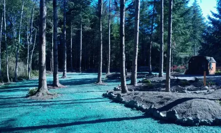 Top-rated lawn care service experts serving Chimacum, WA - Wayne's Hydroseeding