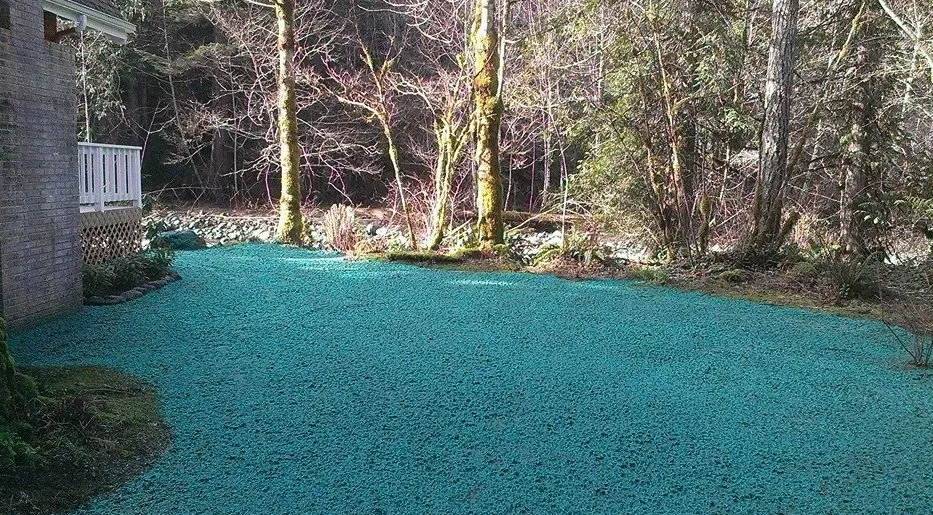 Expert outdoor landscaping experts serving Chimacum, WA - Wayne's Hydroseeding