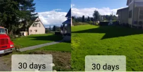 Professional lawn care service experts serving Chimacum, WA - Wayne's Hydroseeding