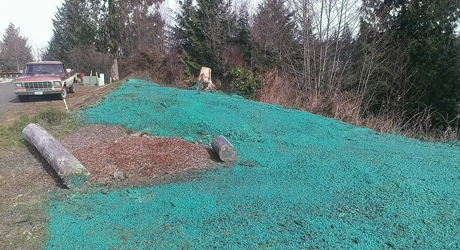 Expert yard cleanup service for residential properties across Chimacum, WA - Wayne's Hydroseeding