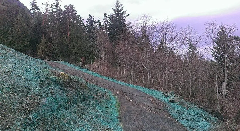 Custom outdoor landscaping experts serving Chimacum, WA - Wayne's Hydroseeding