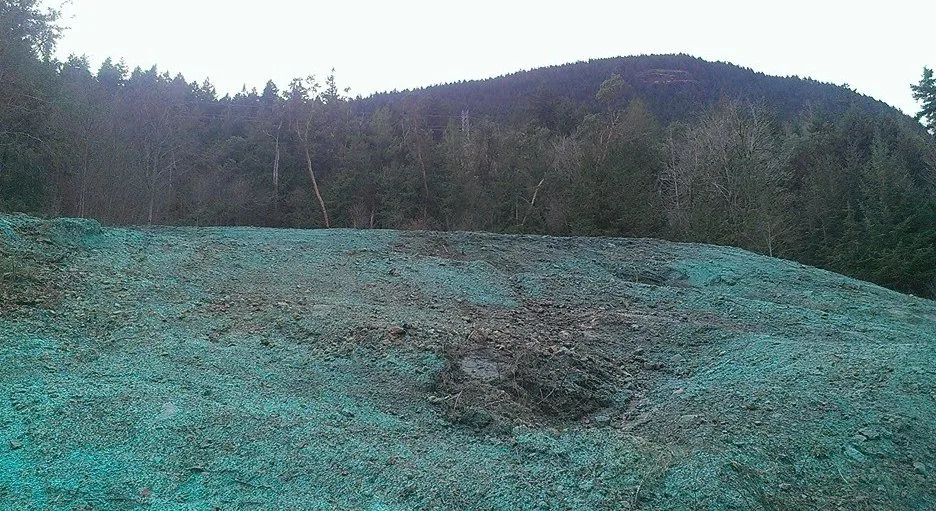 Trusted residential landscaping in Chimacum, WA by Wayne's Hydroseeding
