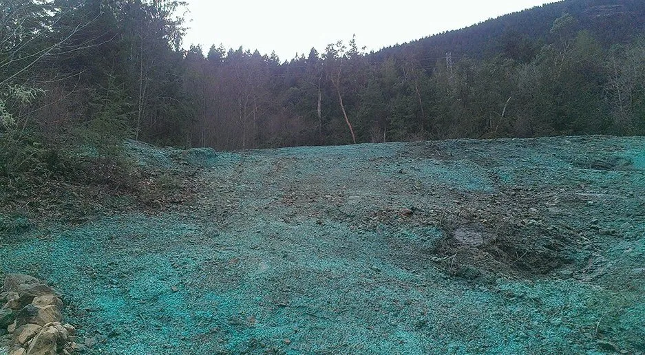 Professional landscaping services near you across Chimacum, WA - Wayne's Hydroseeding