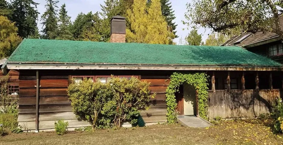 Professional yard cleanup service for homes in Chimacum, WA by Wayne's Hydroseeding