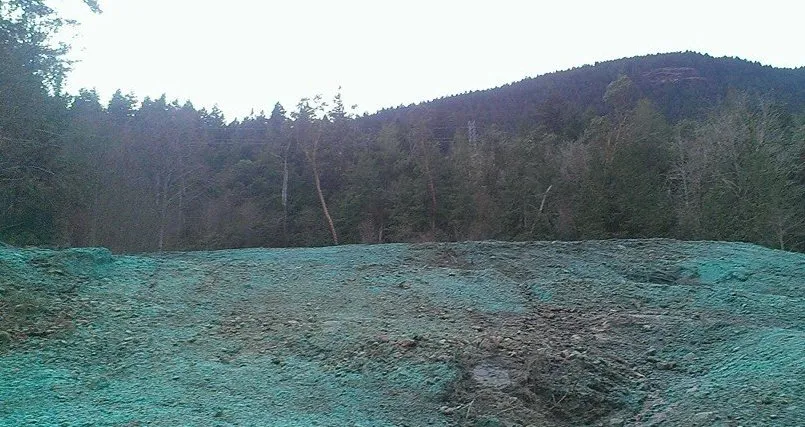 Trusted outdoor landscaping with custom design in Chimacum, WA by Wayne's Hydroseeding