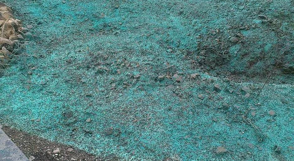 Professional outdoor landscaping for outdoor upgrades in Chimacum, WA by Wayne's Hydroseeding