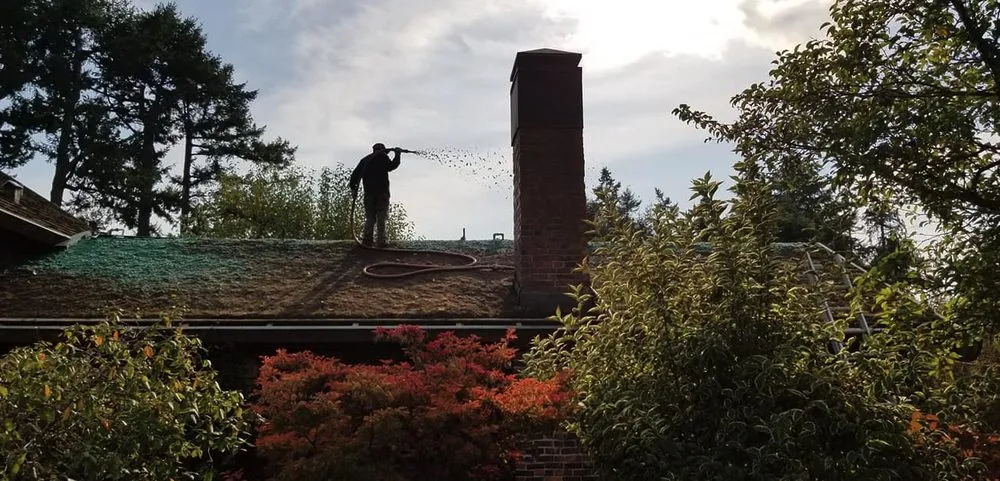 Reliable residential landscaping in Chimacum, WA - Wayne's Hydroseeding