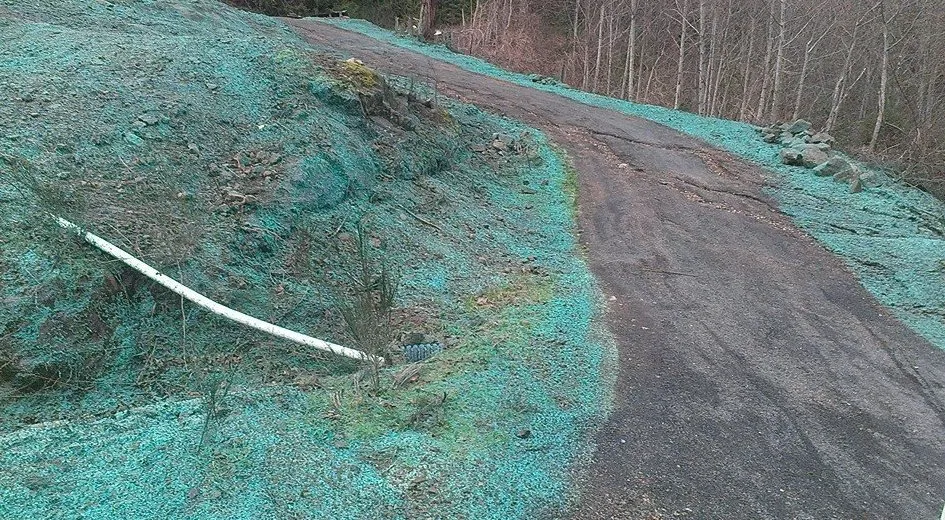 Trusted outdoor landscaping for outdoor upgrades across Chimacum, WA - Wayne's Hydroseeding