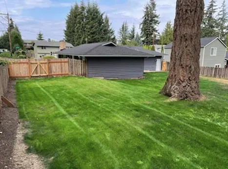 Top-rated yard maintenance in Chimacum, WA by Wayne's Hydroseeding