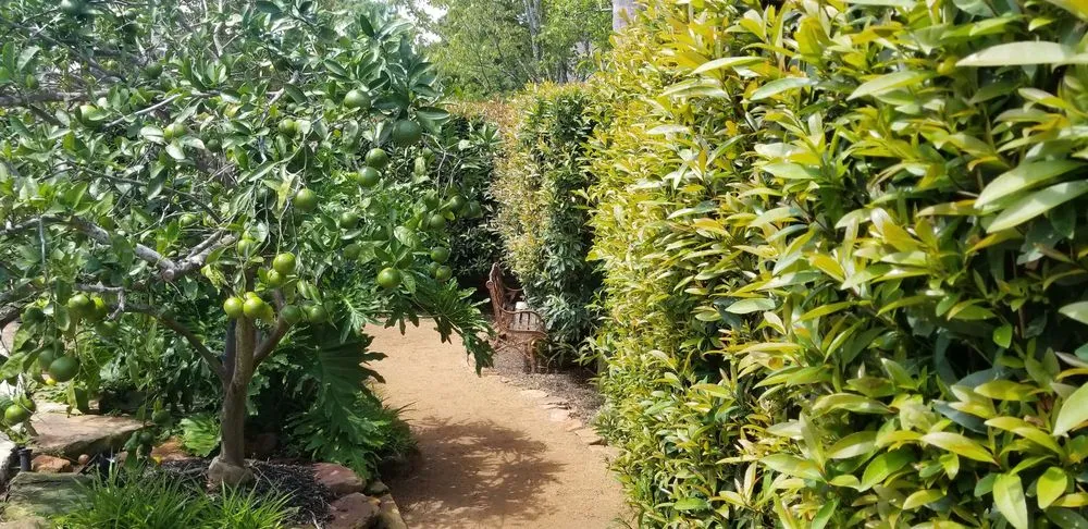 Affordable landscaping services experts serving Houston, TX - Wayne's Landscape Supplies