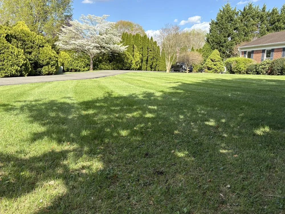 Top-rated yard maintenance near you in Warrenton, VA by Wayne’s Landscaping