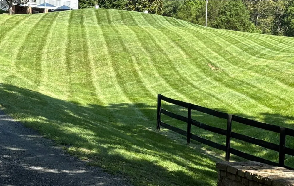 Local yard cleanup service near you in Warrenton, VA by Wayne’s Landscaping