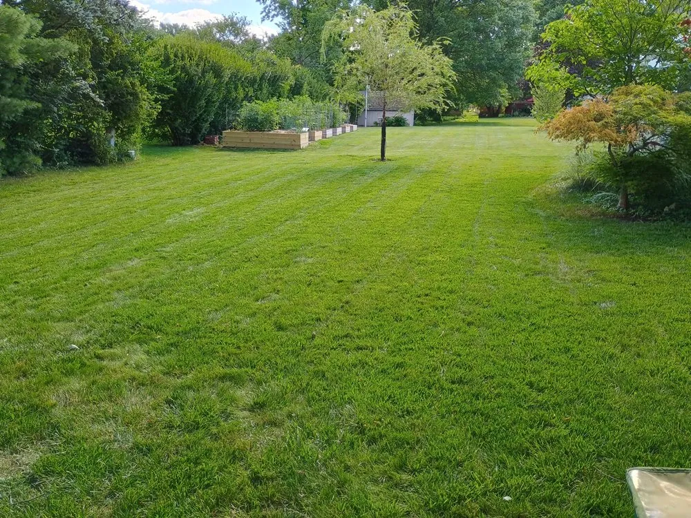 Professional yard maintenance for year-round maintenance in Noblesville, IN by Wayne's Lawn Care