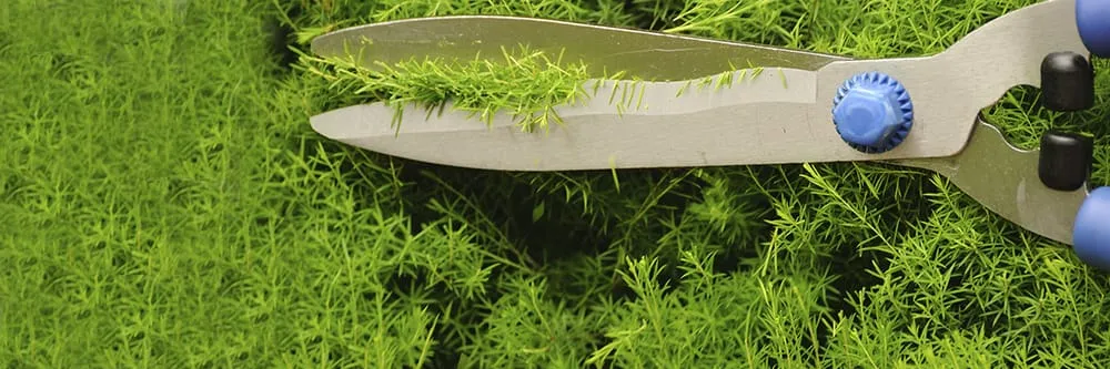 Custom outdoor landscaping experts serving Montgomery, AL - Wayne's Lawn Mower Weed Eater Repair and Lawn Service