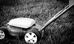 Affordable lawn care service experts serving Montgomery, AL - Wayne's Lawn Mower Weed Eater Repair and Lawn Service