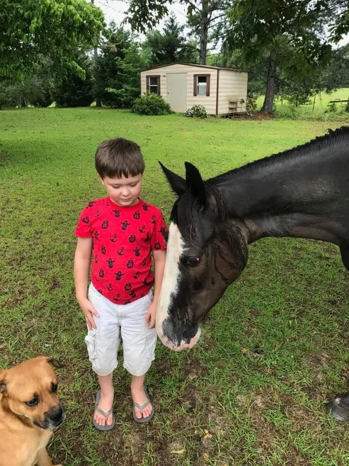 Top-rated yard maintenance with custom design across Auburn, AL - Wayne's Lawn Service