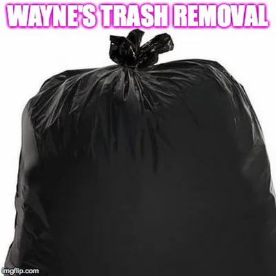 Wayne's Lawn Service Logo