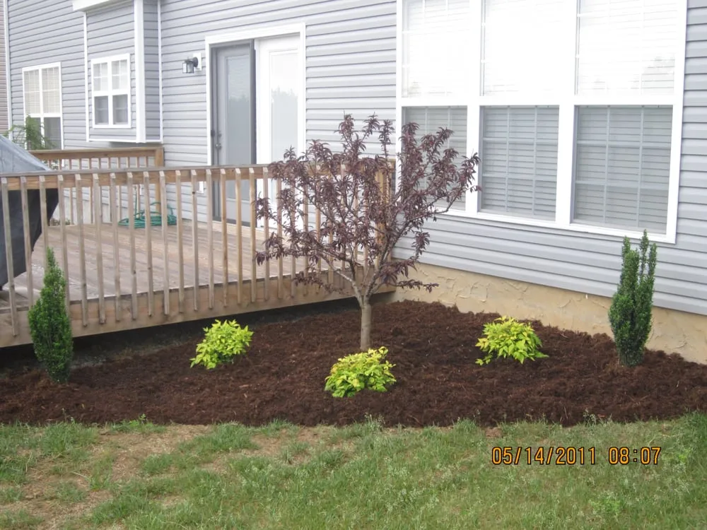 Top-rated yard cleanup service with custom design in Louisville, KY by Wayne's Lawn Service