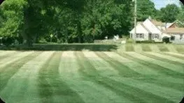 Reliable landscape installation in Louisville, KY by Wayne's Lawn Service