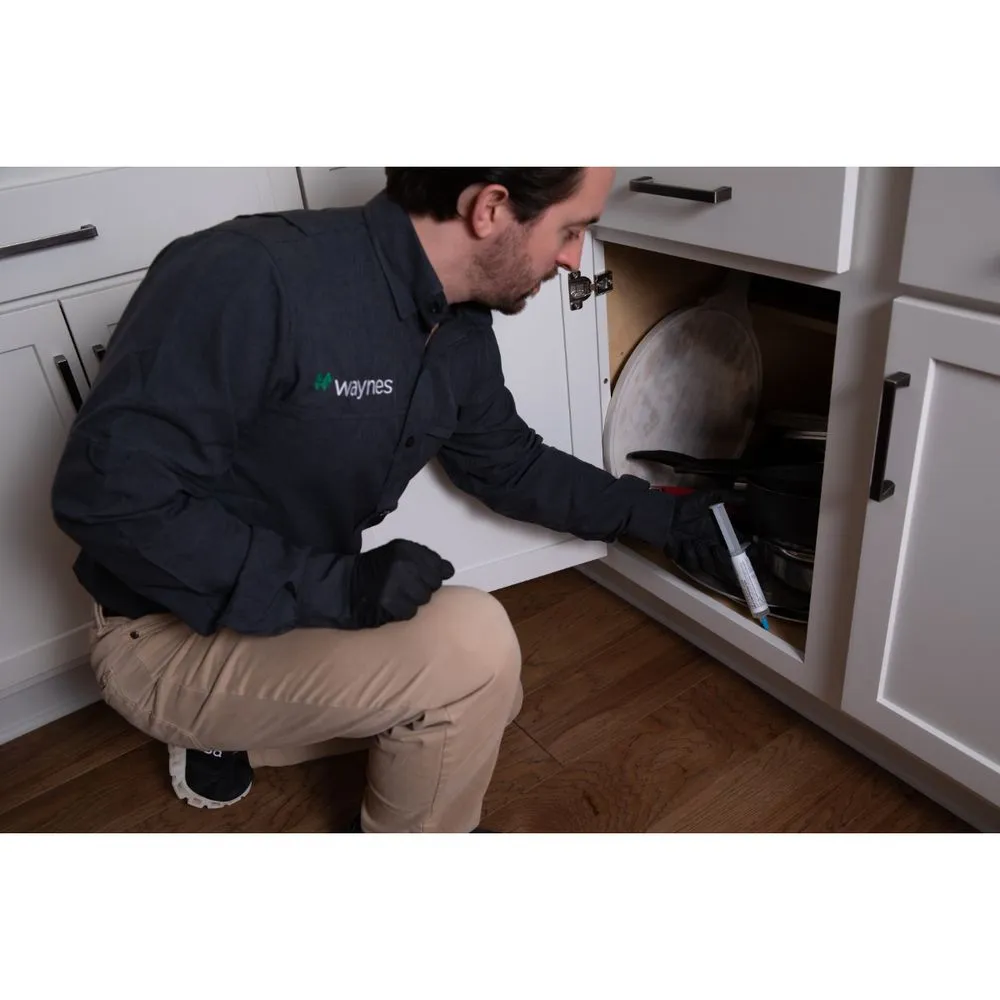 Reliable garden landscaping in Knoxville, TN - Waynes Pest Control