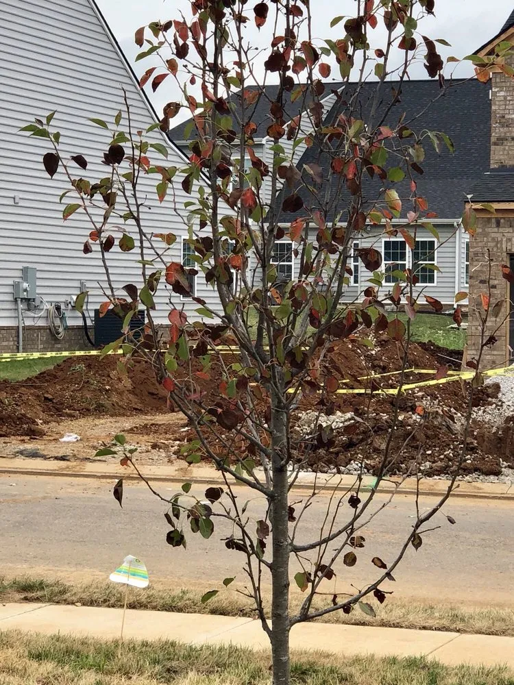 Custom landscape design in Murfreesboro, TN - Waynes Pest Control