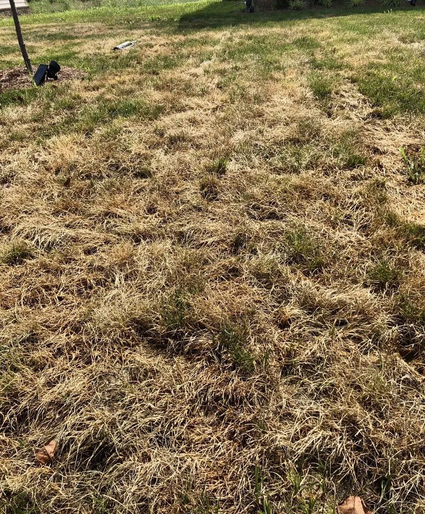 Trusted landscape installation experts serving Murfreesboro, TN - Waynes Pest Control