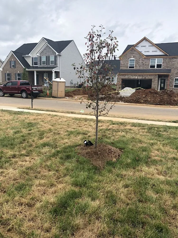Trusted landscaping services experts serving Murfreesboro, TN - Waynes Pest Control