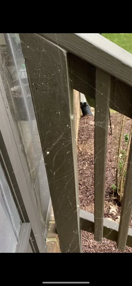 Reliable yard maintenance for residential properties in Murfreesboro, TN by Waynes Pest Control