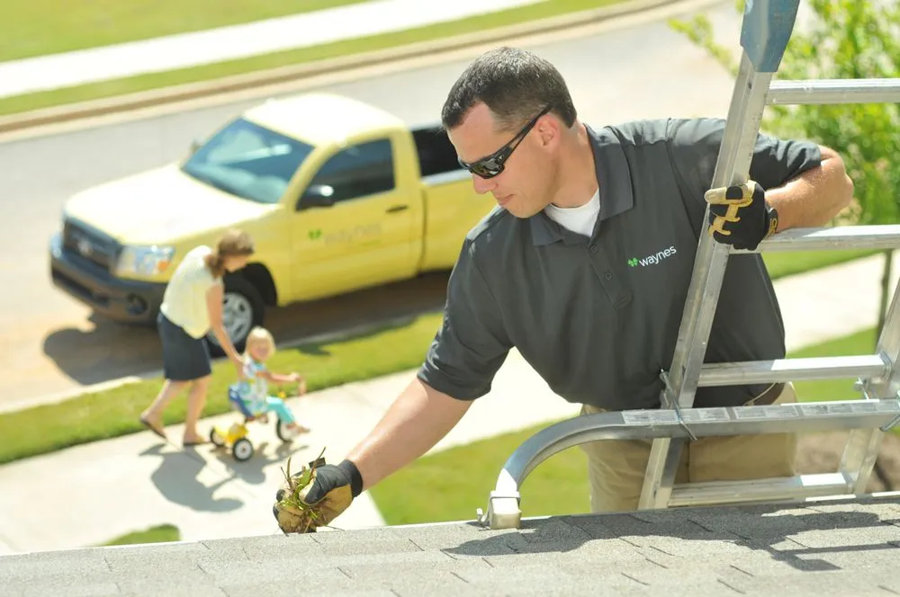 Custom landscaping services with custom design across Murfreesboro, TN - Waynes Pest Control