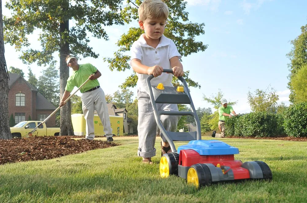 Professional landscape installation in Murfreesboro, TN - Waynes Pest Control