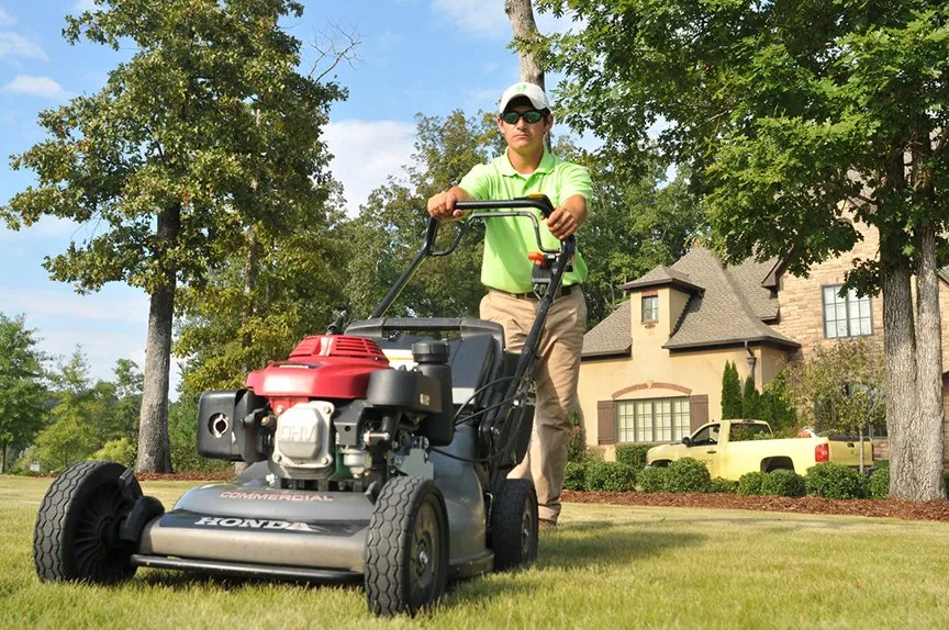 Affordable residential landscaping in Murfreesboro, TN by Waynes Pest Control