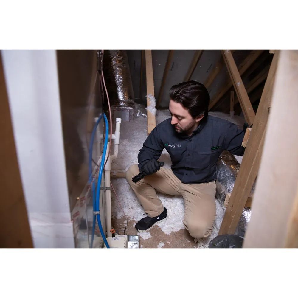 Top-rated yard maintenance in Panama City, FL - Waynes Pest Control