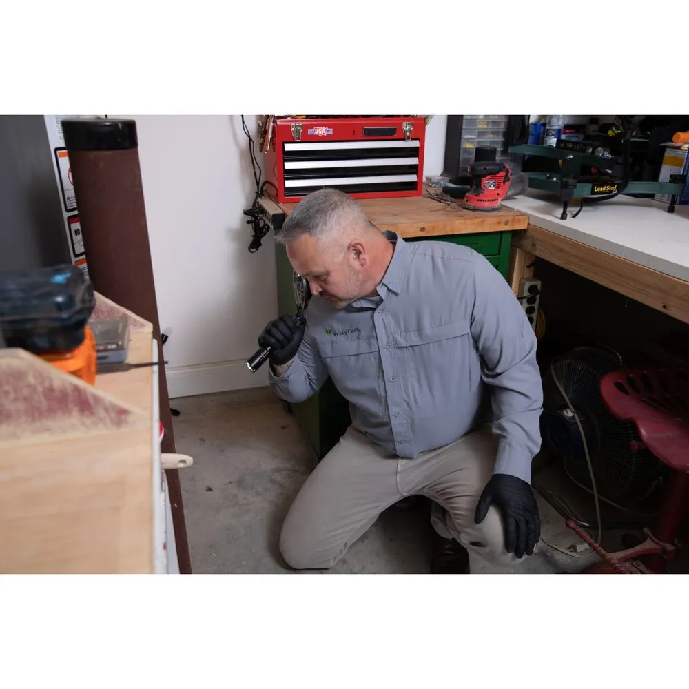 Custom yard cleanup service experts serving Panama City, FL - Waynes Pest Control