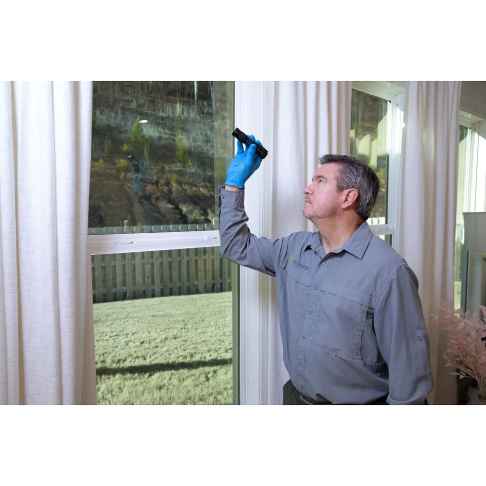 Trusted outdoor landscaping experts serving Panama City, FL - Waynes Pest Control