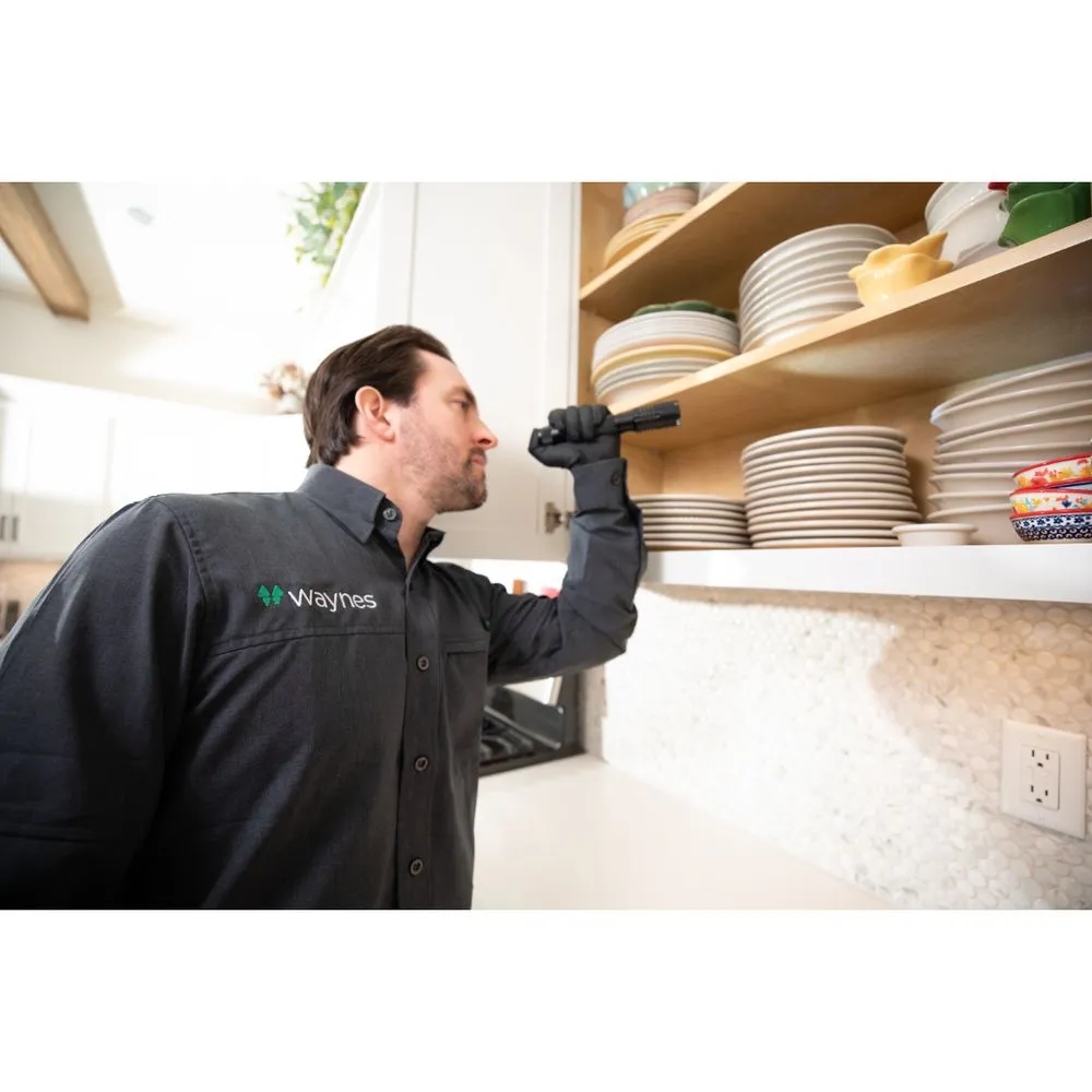 Professional residential landscaping in Port St. Joe, FL - Waynes Pest Control