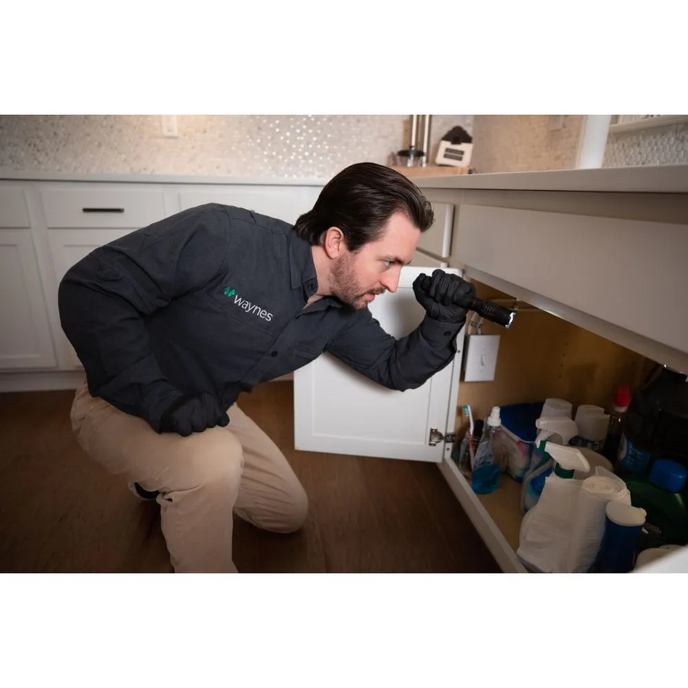 Custom lawn care service experts serving Port St. Joe, FL - Waynes Pest Control