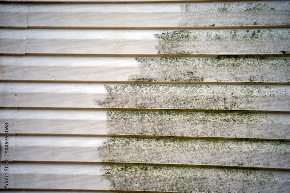 Trusted lawn care service for outdoor upgrades across Parrish, FL - Wayne’s Property Maintenance