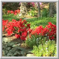 Custom yard maintenance for year-round maintenance across Charlottesville, VA - Waynesboro Nurseries