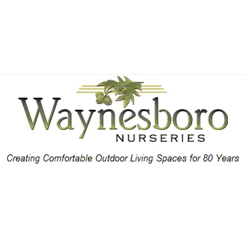 Reliable landscaping services for year-round maintenance in Charlottesville, VA by Waynesboro Nurseries