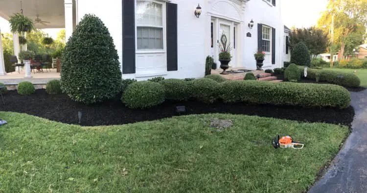 Reliable landscape installation in Lebanon, TN - Waynick Way Lawn Care & Landscaping