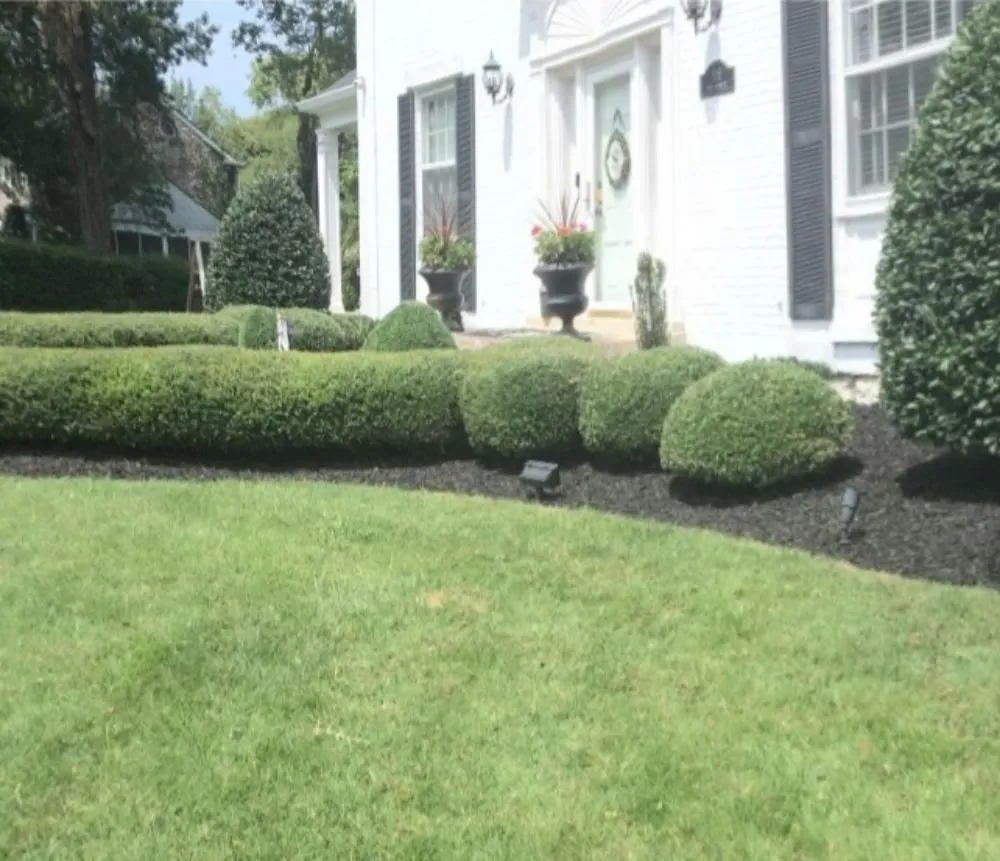 Reliable landscaping services for year-round maintenance across Lebanon, TN - Waynick Way Lawn Care & Landscaping