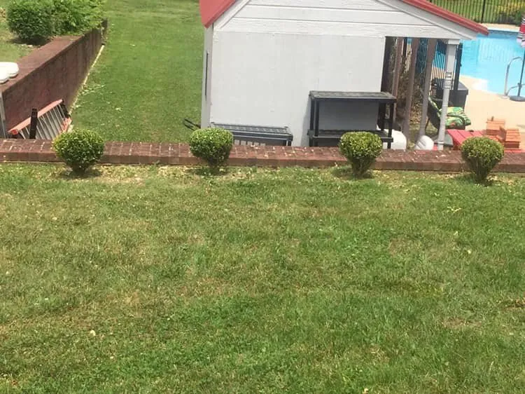 Expert landscaping services in Lebanon, TN by Waynick Way Lawn Care & Landscaping