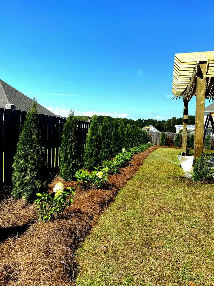 Expert yard maintenance in Fairhope, AL - WayScapes