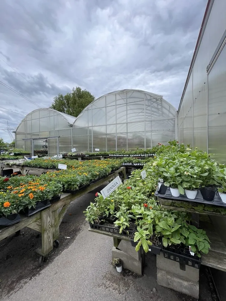 Reliable landscaping services experts serving Macedon, NY - Wayside Garden Center